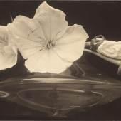  Edward Steichen (Bivange, Luxemburg 1879 – 1973 West Redding, Connecticut) Evening Primroses. Vor 1929 Vintage. Silbergelatineabzug. 20,3 × 25,3 cm ( 8 × 10 in.).  [2040]  Schätzpreis:	50.000 - 70.000 EUR