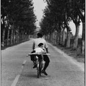  Galerie Stephen Hoffman  Elliott Erwitt  Provence  1955  Gelatin Silver Photograph  60 x 50 cm