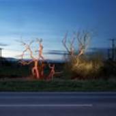Gerard Byrne A country road. A tree. Evening: Towards Kinarla Lough, Drumskew, outside Enniskillen, County Fermanagh, 2007 Fotografie 88 × 110 cm Courtesy Lisson Gallery, London © Gerard Byrne