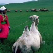 Ulrike Ottinger Johanna d'Arc of Mongolia, 1989 1-Kanal-Video, Farbe, Ton; 35-mm-Film übertragen auf DVD Nr. 70 fortlaufend nummeriert ab Nr. 100, aber keine Edition 158' Courtesy Sammlung Goetz