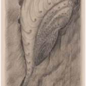 Hermann Obrist Phantastische Muschel, um 1895
Kohle und Bleistift, 270 x 161 mm © Staatliche Graphische Sammlung
München
