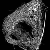 Kerstin Stoll, Hidden Stone, Inkjet-Print, Multiscan eines Webervogel Nests, 2019 © Kerstin Stoll
