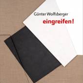 Günter Wolfsberger - "eingreifen!" AM ENDE LICHT 