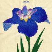 ((Bild „Iris nr 30 komp“, Bildnachweis: Kunstkabinett Strehler)) Eine exotische Rarität aus dem Jahr 1910: die japanischen Farbholzschnitte des Kunstkabinetts Strehler.