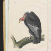 John James Audubon, The birds of America from drawings made in the United States …, printed in New York beetween 1840 and 1844 in 7 volumes i