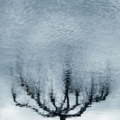 Kira Vygrivach – L’arbre (Tree Dream 01), 2014 tirage photographique contrecollé sur Dibond®, 60 x 48 cm