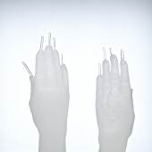 Marina Abramović The Communicator, 2012 Two clear wax hands with clear crystal stones, glass pedestal 25 x 10 x 5 cm © Marina Abramović Courtesy Marina Abramović Archives