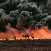Kamele und Öl-Feuer. Kuwait. 1991. © Steve McCurry / Magnum Photos