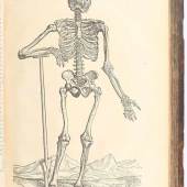 Vesalius, De humani corporis fabrica Vesalius, A. De humani corporis fabrica libri septem. Basel, J. Oporinus, 1555. Gr.-fol. (43:30 cm).  Schätzpreis:	40.000 EUR