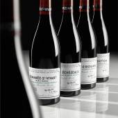 Lot 19 DRC Mixed Case 2010