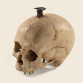 Menschlicher Schädel mit Nagel aus der Siedlung von Puig Castellar, Santa Coloma de Gramenet (Barcelona), Bein, Eisen, 3. Jahrhundert v. Chr. © Museu d’Arqueologia de Catalunya