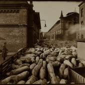 Atelier J. Hamann, Auftrieb von Schweinen, 1917, Silbergelatineabzug, 24,2 x 30,7 cm, © Staatsarchiv Hamburg