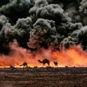 Kamele und Öl-Feuer, Kuwait, 1991 | Camels and Oil Fire, Kuwait, 1991 © Steve McCurry / Magnum Photos / Agentur Focus