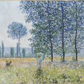 Monet, Felder im Frühling