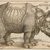  Albrecht Dürer, The Rhinocerous (B. 136; M., HOLL. 273).