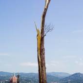 Giuseppe Penone. Albero folgorato. Photo © Archivio Penone