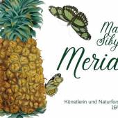 Plakat: "Maria Sibylla MERIAN Künstlerin und Naturforscherin" 