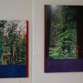 Bild 3 und 4: Ralf Bittner, Wald 3+4, mit Alkydharz überarbeitete Fotos auf Aludibond, 2020,40&60 cm. Je 550 €.