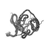 Gabriele Rothemann "Schlangenmosaik II", 2012, Silbergelatineabzug auf Barytpapier, § 131,5 cm 
