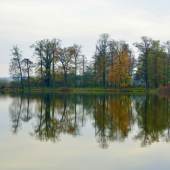 Schlosspark Petzow im Herbst © Thomas Wiersberg/Cultura-Schwielowsee