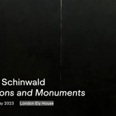 Markus Schinwald Extensions and Monuments