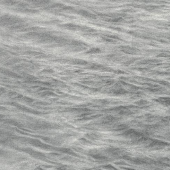 Vija Celmins (*1938) Untitled (Ocean), 2014 Graphit auf mit Acryl grundiertem Papier, 39 x 47 cm Jack Shear Collection © Vija Celmins, Courtesy of Jack Shear Collection