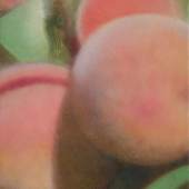 Reife Früchte I (Pfirsiche), 2017, Oel auf Leinwand, 35 x 27 cm, Ref. 5570