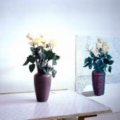 SL Hockney David Roses For Mother 1995 cartist