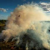 SOUTHEAST ASIA AND OCEANIA, STORIES  Saving Forests with Fire © Matthew Abbott, Australia, for National Geographic / Panos Pictures