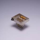 »Golden Subtropic« Ring Silber oxidiert, Gold, Platin, Kunststoff Ruan Weng Mong 2003