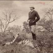 Der Erzherzog mit erlegtem Tiger 
Fotomontage Eduard Hodek jun./Atelier C. Pietzner, 24.2.1893 Sariska, Rajasthan, Indien Kollodiumabzug, 234 x 286 mm
©Museum für Völkerkunde 